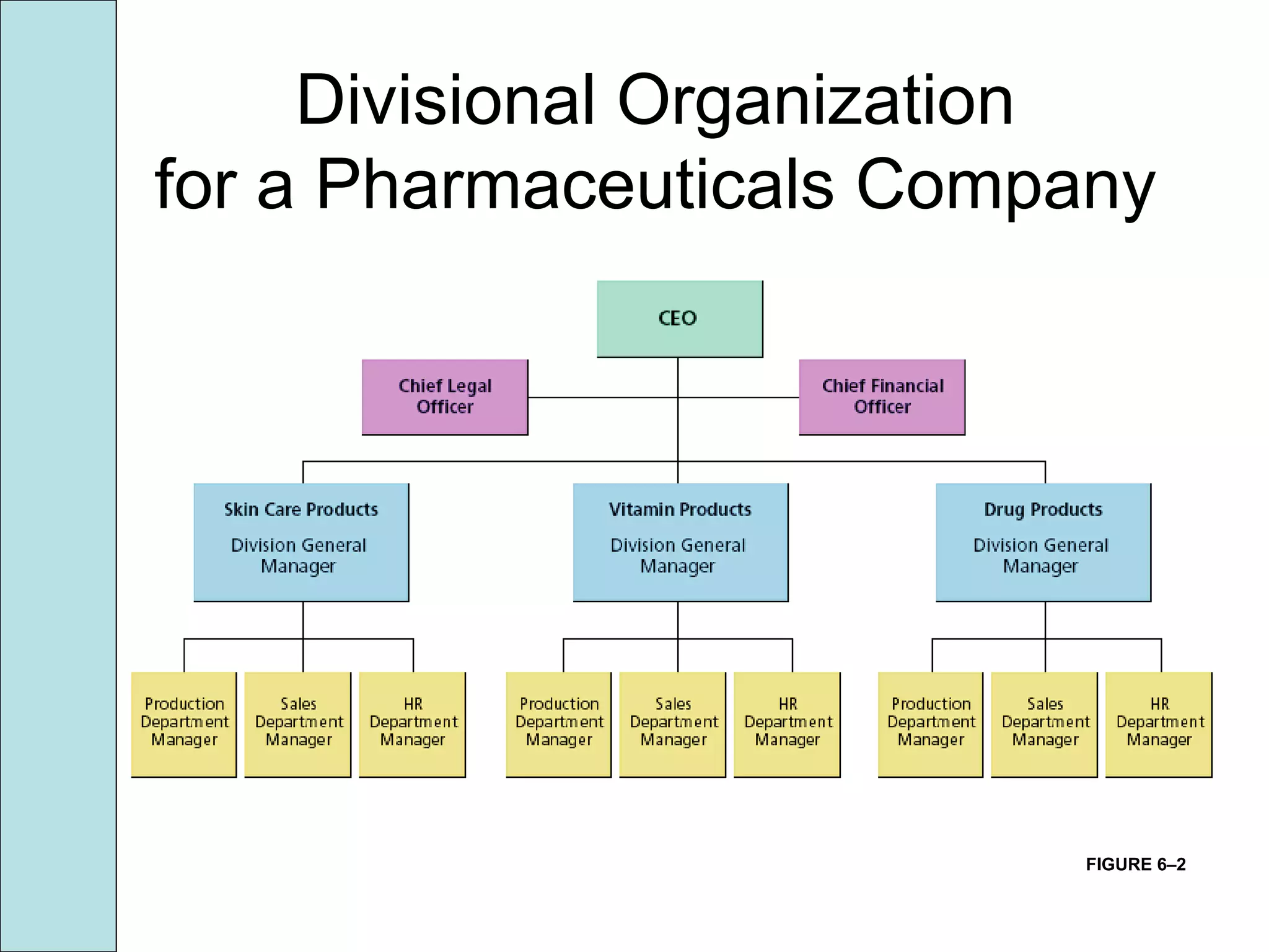 Divisional Organization
for a Pharmaceuticals Company
FIGURE 6–2
 