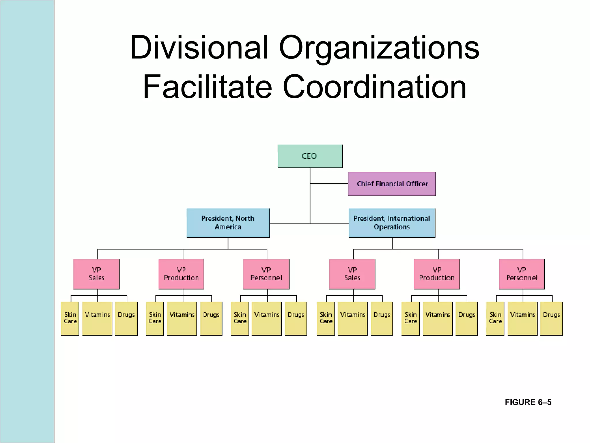 FIGURE 6–5
Divisional Organizations
Facilitate Coordination
 