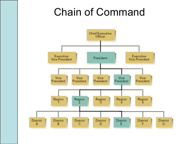 departmentalization chain of command flow chart