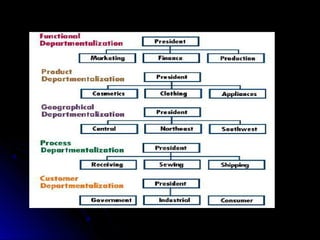 Departmentalization in an Organization | PPT
