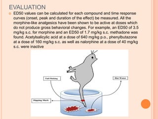EVALUATION
 ED50 values can be calculated for each compound and time response
curves (onset, peak and duration of the effect) be measured. All the
morphine-like analgesics have been shown to be active at doses which
do not produce gross behavioral changes. For example, an ED50 of 3.5
mg/kg s.c. for morphine and an ED50 of 1.7 mg/kg s.c. methadone was
found. Acetylsalicylic acid at a dose of 640 mg/kg p.o., phenylbutazone
at a dose of 160 mg/kg s.c. as well as nalorphine at a dose of 40 mg/kg
s.c. were inactive
 