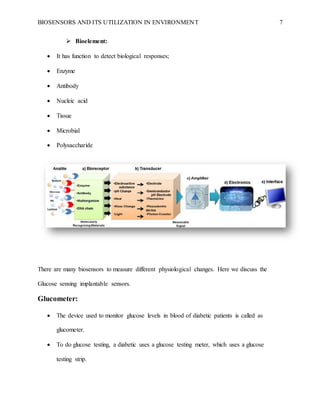 BIOSENSORS AND ITS UTILIZATION IN ENVIRONMENT 7
 Bioelement:
 It has function to detect biological responses;
 Enzyme
 Antibody
 Nucleic acid
 Tissue
 Microbial
 Polysaccharide
There are many biosensors to measure different physiological changes. Here we discuss the
Glucose sensing implantable sensors.
Glucometer:
 The device used to monitor glucose levels in blood of diabetic patients is called as
glucometer.
 To do glucose testing, a diabetic uses a glucose testing meter, which uses a glucose
testing strip.
 