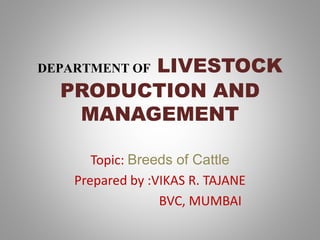DEPARTMENT OF LIVESTOCK
PRODUCTION AND
MANAGEMENT
Topic: Breeds of Cattle
Prepared by :VIKAS R. TAJANE
BVC, MUMBAI
 