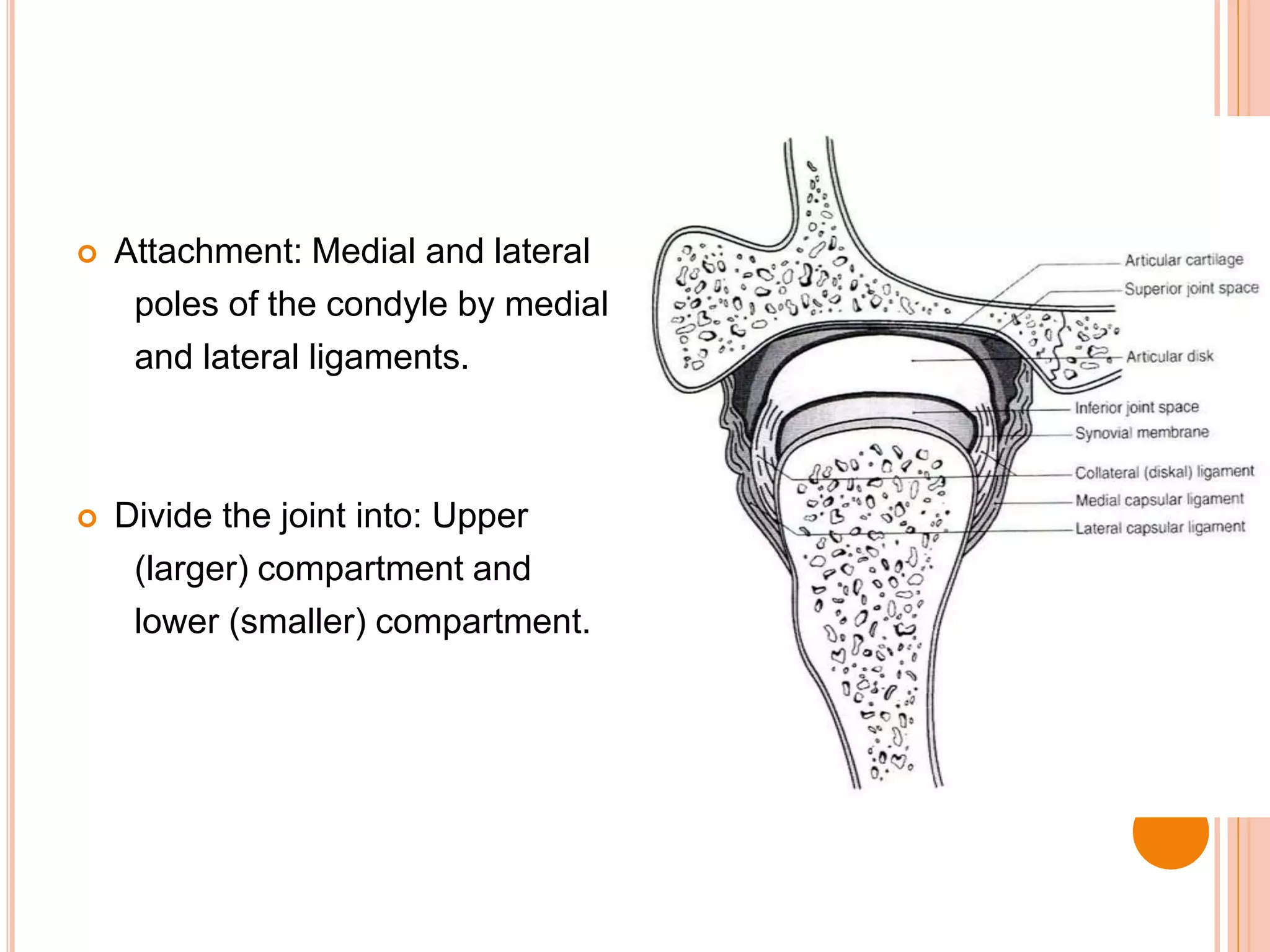 Condyle Pain histology of tempromandibular joint | PPTX