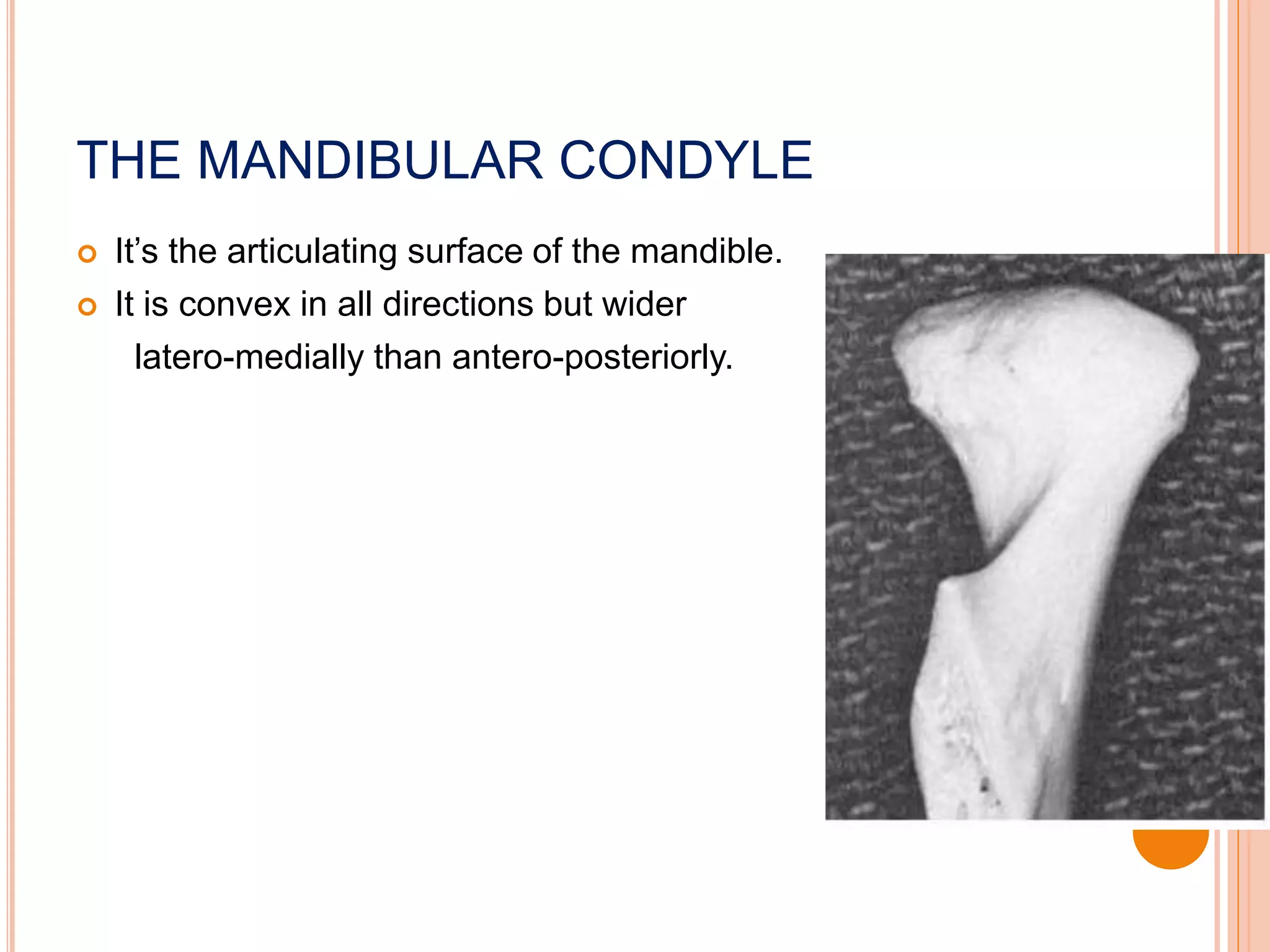 Condyle Pain histology of tempromandibular joint | PPTX