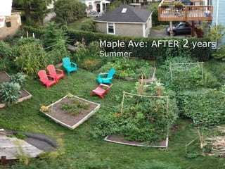 Maple Ave: AFTER 2 years
Summer
 