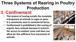 Perchery System Rearing DepED-G11-Q1-M2-Setting Up a Poultry House.pptx