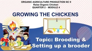 DepED-G11-Q2-M4-1-Brooding & Setting up a brooder.pptx