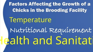 DepED-G11-Q2-M4-1-Brooding & Setting up a brooder.pptx