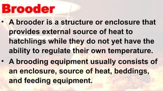 DepED-G11-Q2-M4-1-Brooding & Setting up a brooder.pptx