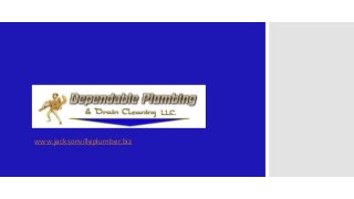 www.jacksonvilleplumber.biz
 