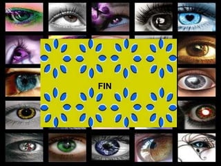 FIN 