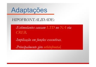 Adaptações
HIPOFRONTALIDADE:
 Estimulantes causam LTD no NA via
 •

 CREB.
 Implicação em funções executivas.
 •



 Principalmente giro orbitofrontal.
 •
 