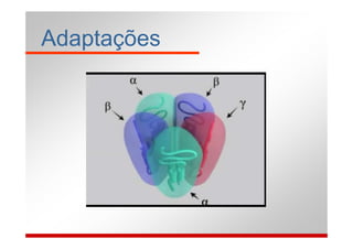 Adaptações
 
