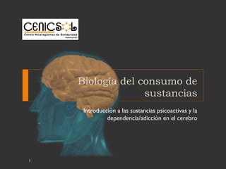 Biología del consumo de
sustancias
Introducción a las sustancias psicoactivas y la
dependencia/adicción en el cerebro
1
 