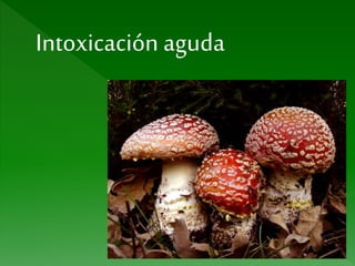 Intoxicación aguda
 