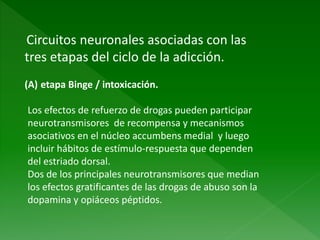 Circuitos neuronales asociadas con las
tres etapas del ciclo de la adicción.
(A) etapa Binge / intoxicación.
Los efectos de refuerzo de drogas pueden participar
neurotransmisores de recompensa y mecanismos
asociativos en el núcleo accumbens medial y luego
incluir hábitos de estímulo-respuesta que dependen
del estriado dorsal.
Dos de los principales neurotransmisores que median
los efectos gratificantes de las drogas de abuso son la
dopamina y opiáceos péptidos.
 