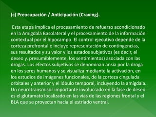(c) Preocupación / Anticipación (Craving).
Esta etapa implica el procesamiento de refuerzo acondicionado
en la Amigdala Basolateral y el procesamiento de la información
contextual por el hipocampo. El control ejecutivo depende de la
corteza prefrontal e incluye representación de contingencias,
sus resultados y su valor y los estados subjetivos (es decir, el
deseo y, presumiblemente, los sentimientos) asociada con las
drogas. Los efectos subjetivos se denominan ansia por la droga
en los seres humanos y se visualiza mediante la activación, en
los estudios de imágenes funcionales, de la corteza cingulada
orbitales y anterior y el lóbulo temporal, incluyendo la amígdala.
Un neurotransmisor importante involucrado en la fase de deseo
es el glutamato localizado en las vías de las regiones frontal y el
BLA que se proyectan hacia el estriado ventral.
 