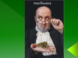 marihuana
 