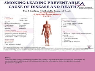 Dependency Management