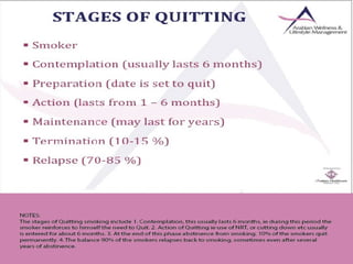 Dependency Management