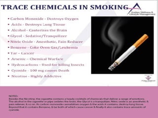 Dependency Management