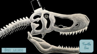 TurtleSec
@pati_gallardo
Turtle
Sec
@pati_gallardo
 