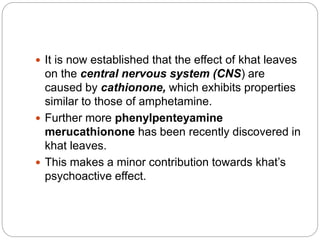  It is now established that the effect of khat leaves
on the central nervous system (CNS) are
caused by cathionone, which exhibits properties
similar to those of amphetamine.
 Further more phenylpenteyamine
merucathionone has been recently discovered in
khat leaves.
 This makes a minor contribution towards khat’s
psychoactive effect.
 
