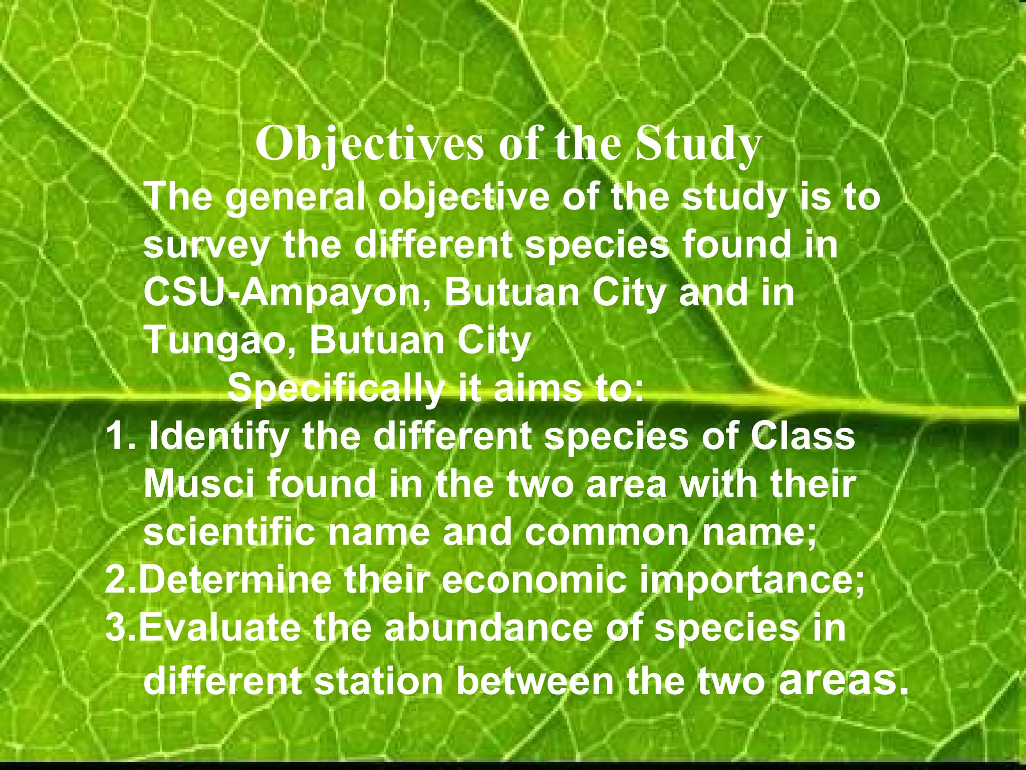 Objectives of the Study The general objective of the study is to survey the different species found in CSU-Ampayon, Butuan City and in Tungao, Butuan City Specifically it aims to: 1. Identify the different species of Class Musci found in the two area with their scientific name and common name; 2.Determine their economic importance; 3.Evaluate the abundance of species in different station between the two  areas. 