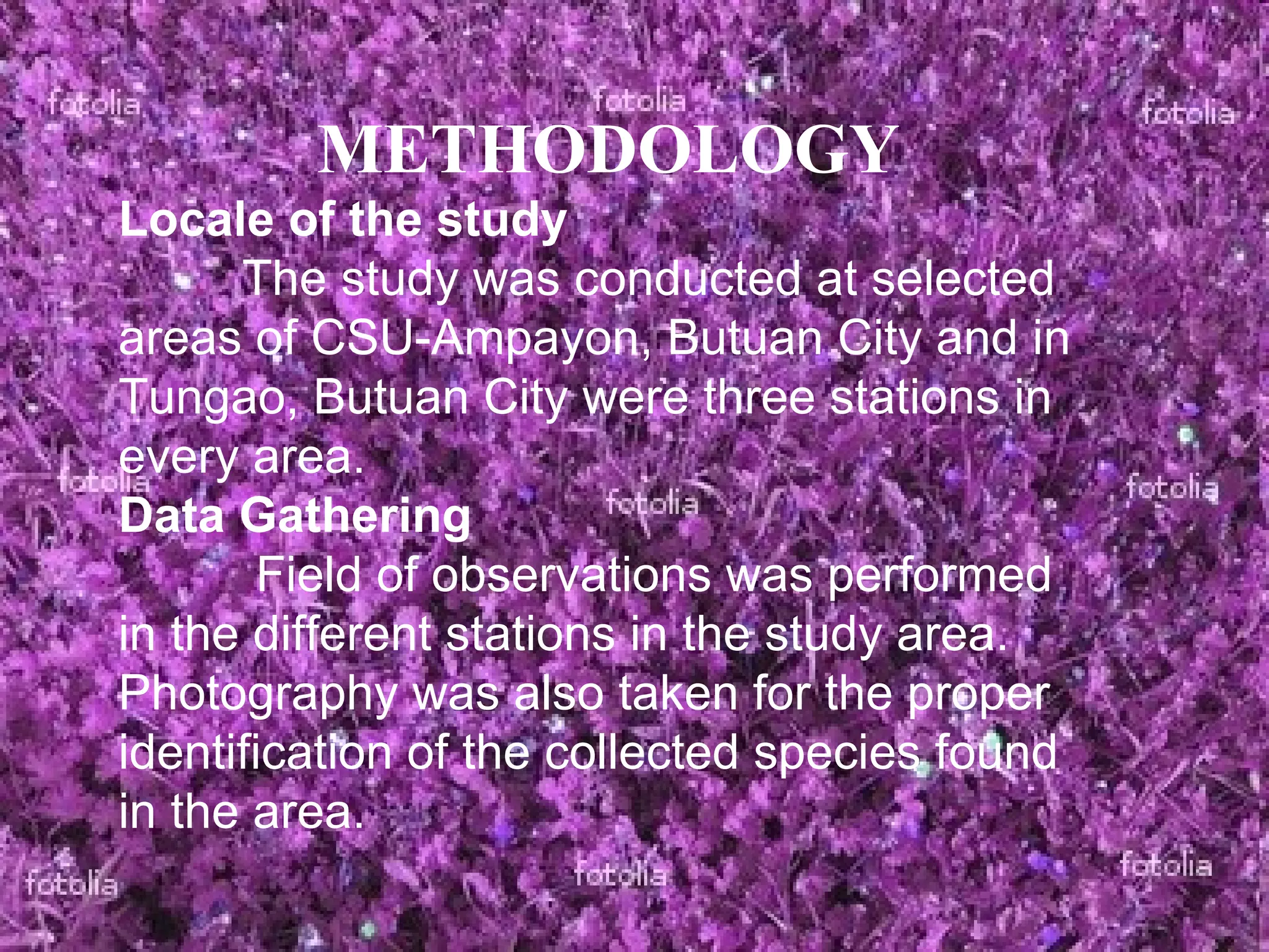 METHODOLOGY Locale of the study The study was conducted at selected areas of CSU-Ampayon, Butuan City and in Tungao, Butuan City were three stations in every area. Data Gathering Field of observations was performed in the different stations in the study area. Photography was also taken for the proper identification of the collected species found in the area. 