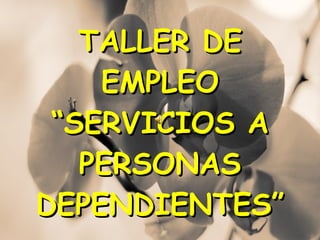 TALLER DE EMPLEO “SERVICIOS A PERSONAS DEPENDIENTES” 