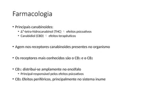 Farmacologia
• Principais canabinoides:
• Δ⁹-tetra-hidrocanabinol (THC)  efeitos psicoativos
• Canabidiol (CBD)  efeitos terapêuticos
• Agem nos receptores canabinoides presentes no organismo
• Os receptores mais conhecidos são o CB1 e o CB2
• CB1: distribui-se amplamente no encéfalo
• Principal responsável pelos efeitos psicoativos
• CB2: Efeitos periféricos, principalmente no sistema inume
 