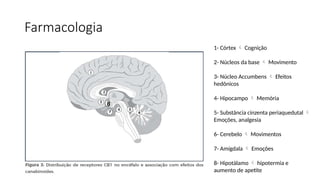 Farmacologia
1- Córtex  Cognição
2- Núcleos da base  Movimento
3- Núcleo Accumbens  Efeitos
hedônicos
4- Hipocampo  Memória
5- Substância cinzenta periaquedutal 
Emoções, analgesia
6- Cerebelo  Movimentos
7- Amígdala  Emoções
8- Hipotálamo  hipotermia e
aumento de apetite
8
 