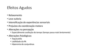 Efeitos Agudos
• Relaxamento
• Leve euforia
• Intensificação de experiências sensoriais
• Prejuízos da coordenação motora
• Alterações na percepção
• Especialmente avaliação do tempo (tempo passa mais lentamente)
• Alterações fisiológicas:
• Taquicardia
• Labilidade da PA
• Hiperemia de conjuntivas
 