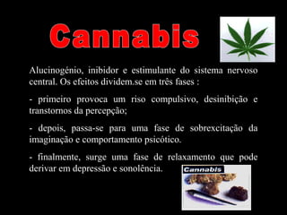 Alucinogénio, inibidor e estimulante do sistema nervoso
central. Os efeitos dividem.se em três fases :
- primeiro provoca um riso compulsivo, desinibição e
transtornos da percepção;
- depois, passa-se para uma fase de sobrexcitação da
imaginação e comportamento psicótico.
- finalmente, surge uma fase de relaxamento que pode
derivar em depressão e sonolência.
 