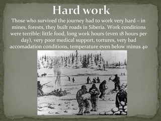 Those who survived the journey had to work very hard – in
mines, forests, they built roads in Siberia. Work conditions
were terrible: little food, long work hours (even 18 hours per
day), very poor medical support, tortures, very bad
accomadation conditions, temperature even below minus 40
degrees…
 
