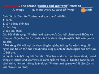 Question 41. The phrase “finches and sparrows” refers to_______.
A. wings B. maneuvers C. ways of flying D. birds
Dịch đề ...