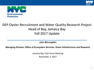 1
DEP Oyster Recruitment and Water Quality Research Project
Head of Bay, Jamaica Bay
Fall 2017 Update
John McLaughlin
Managing Director, Office of Ecosystem Services, Green Infrastructure and Research
Jamaica Bay Task Force Meeting
November 2, 2017
 