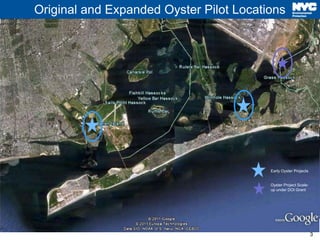 Dep head of bay oyster project jam bay task force fall 2017 update