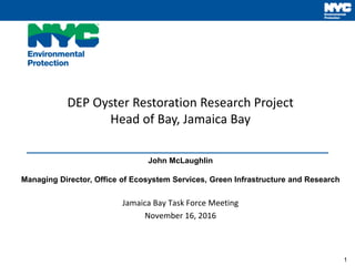 1
DEP Oyster Restoration Research Project
Head of Bay, Jamaica Bay
John McLaughlin
Managing Director, Office of Ecosystem Services, Green Infrastructure and Research
Jamaica Bay Task Force Meeting
November 16, 2016
 