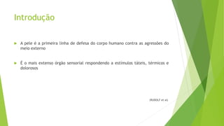 Introdução
 A pele é a primeira linha de defesa do corpo humano contra as agressões do
meio externo
 É o mais extenso órgão sensorial respondendo a estímulos táteis, térmicos e
dolorosos
(RUDOLF et al)
 