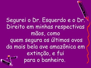 Segurei o Dr. Esquerdo e o Dr. Direito em minhas respectivas mãos, como  quem segura os últimos ovos da mais bela ave amazônica em extinção, e fui para o banheiro.  