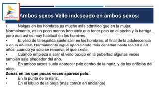 Ambos sexos Vello indeseado en ambos sexos:
• Nalgas en los hombres es mucho más admitido que en la mujer.
Normalmente, es un poco menos frecuente que tener pelo en el pecho y la barriga,
pero aun así es muy habitual en los hombres.
• El vello de la espalda suele salir en los hombres, al final de la adolescencia
o en la adultez. Normalmente sigue apareciendo más cantidad hasta los 40 o 50
años, cuando ya solo se renueva el que existe.
• Cuando empieza a salir el vello púbico en la pubertad algunas veces
también sale alrededor del ano.
• En ambos sexos suele aparecer pelo dentro de la nariz, y de los orificios del
oído.
Zonas en las que pocas veces aparece pelo:
• En la punta de la nariz.
• En el lóbulo de la oreja (más común en ancianos)
 