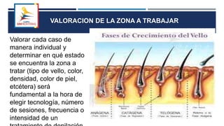 Valorar cada caso de
manera individual y
determinar en qué estado
se encuentra la zona a
tratar (tipo de vello, color,
densidad, color de piel,
etcétera) será
fundamental a la hora de
elegir tecnología, número
de sesiones, frecuencia o
intensidad de un
VALORACION DE LA ZONA A TRABAJAR
 