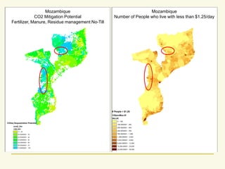 De pinto a cost benefit analyses for mitigation