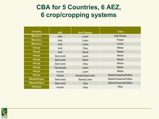 De pinto a cost benefit analyses for mitigation