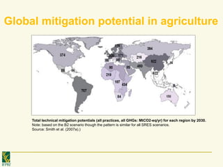 De pinto a cost benefit analyses for mitigation