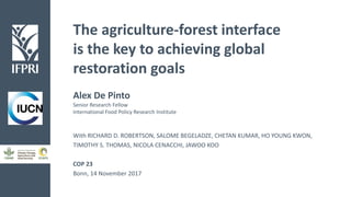 The agriculture-forest interface
is the key to achieving global
restoration goals
With RICHARD D. ROBERTSON, SALOME BEGELADZE, CHETAN KUMAR, HO YOUNG KWON,
TIMOTHY S. THOMAS, NICOLA CENACCHI, JAWOO KOO
COP 23
Bonn, 14 November 2017
Alex De Pinto
Senior Research Fellow
International Food Policy Research Institute
 