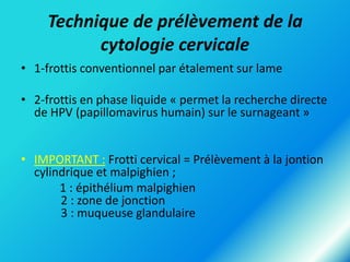 Technique de prélèvement de la
cytologie cervicale
• 1-frottis conventionnel par étalement sur lame
• 2-frottis en phase liquide « permet la recherche directe
de HPV (papillomavirus humain) sur le surnageant »
• IMPORTANT : Frotti cervical = Prélèvement à la jontion
cylindrique et malpighien ;
1 : épithélium malpighien
2 : zone de jonction
3 : muqueuse glandulaire

 