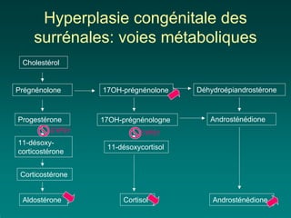 Hyperplasie congénitale des
     surrénales: voies métaboliques
 Cholestérol


Prégnénolone      17OH-prégnénolone    Déhydroépiandrostérone



Progestérone      17OH-prégnénologne      Androsténédione
         CYP21              CYP21
11-désoxy-
                   11-désoxycortisol
corticostérone


 Corticostérone


 Aldostérone           Cortisol            Androsténédione
 